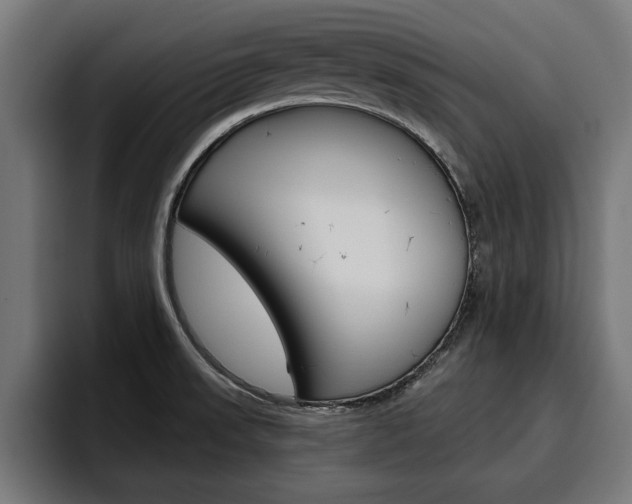 X0000094771523200711160820