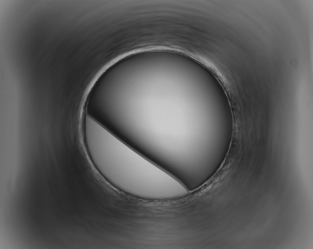 X0000094771524200711160820