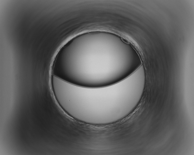 X0000094771528200711160820