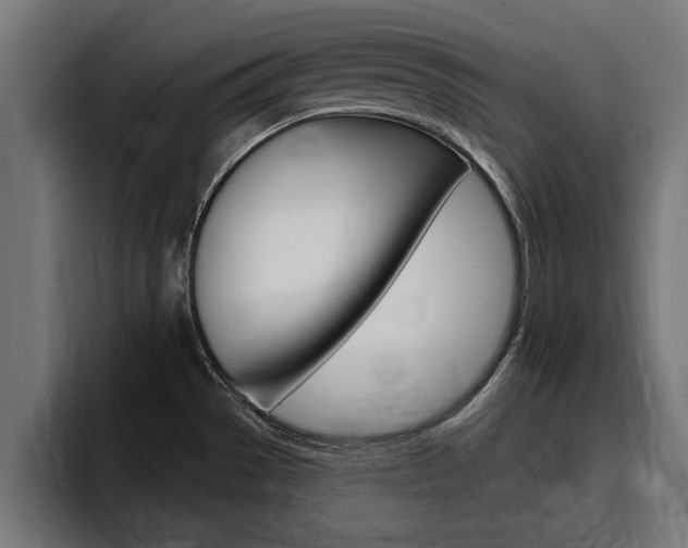 X0000094771529200711160820