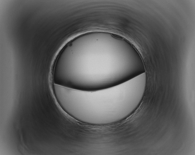 X0000094771531200711160820
