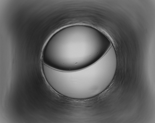 X0000094771532200711160820