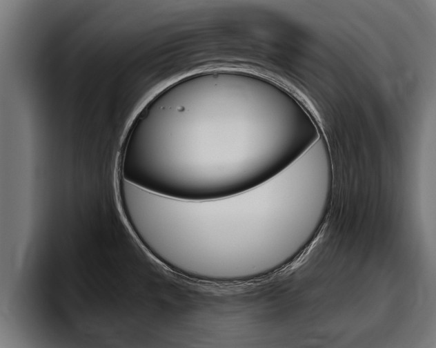 X0000094771533200711160820