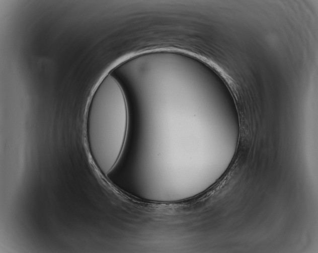 X0000094771534200711160820