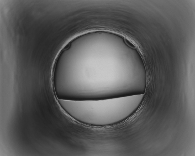 X0000094771535200711160820