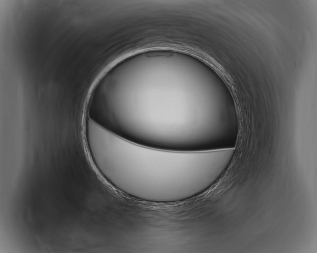 X0000094771536200711160820