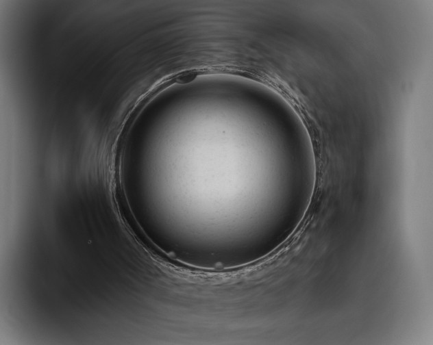 X0000094770002200711161405