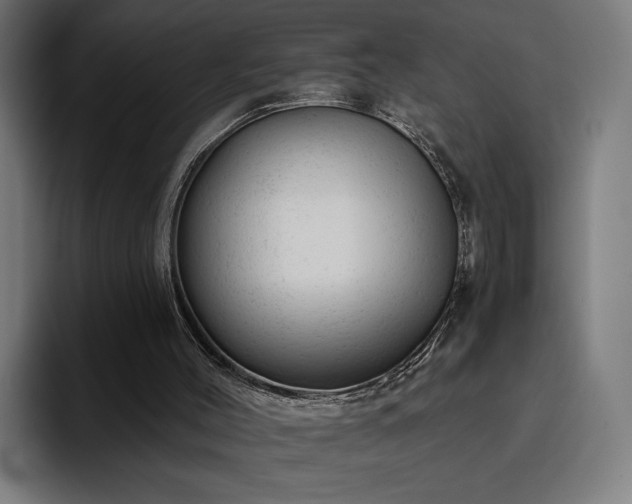 X0000094770004200711161405