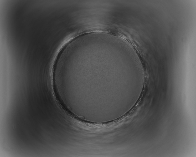 X0000094770006200711161405