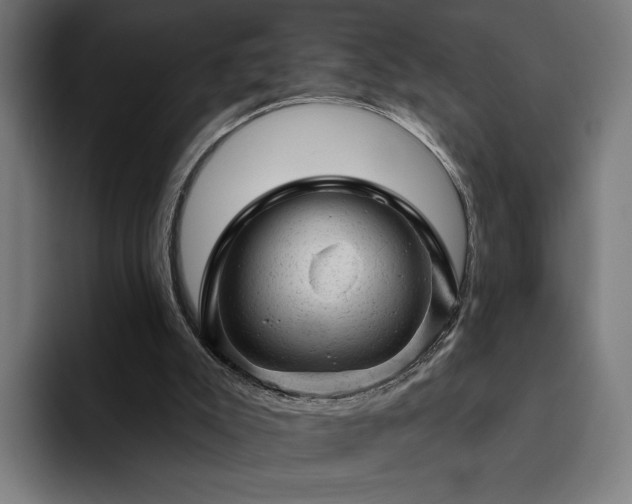 X0000094770007200711161405