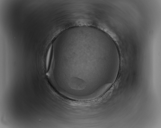 X0000094770009200711161405