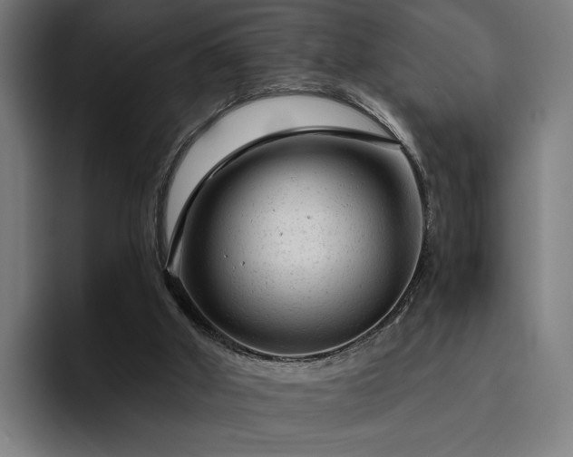 X0000094770010200711161405