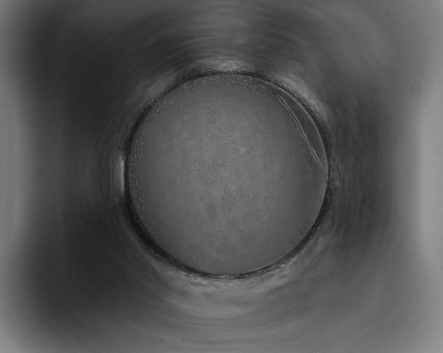 X0000094770014200711161405