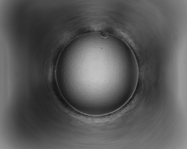 X0000094770018200711161405