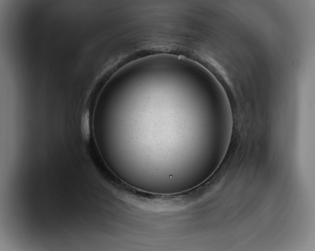 X0000094770020200711161405