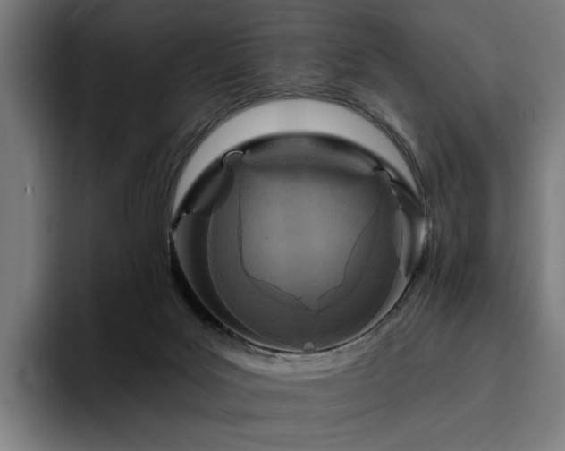 X0000094770027200711161405