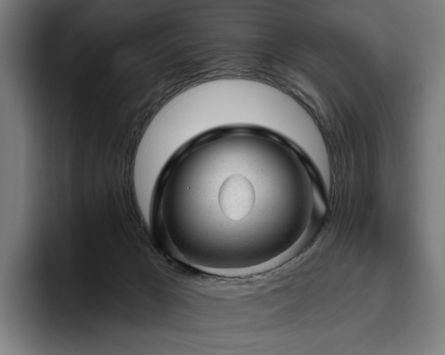 X0000094770029200711161405