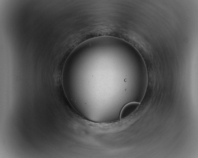 X0000094770034200711161405