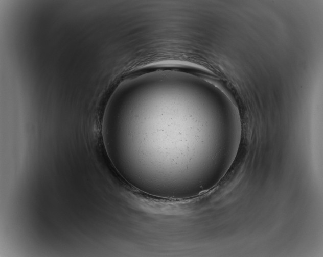 X0000094770040200711161404