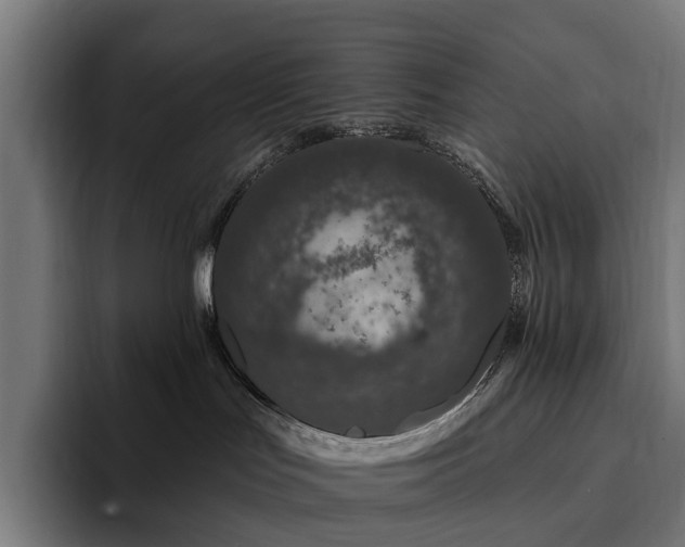 X0000094770047200711161404