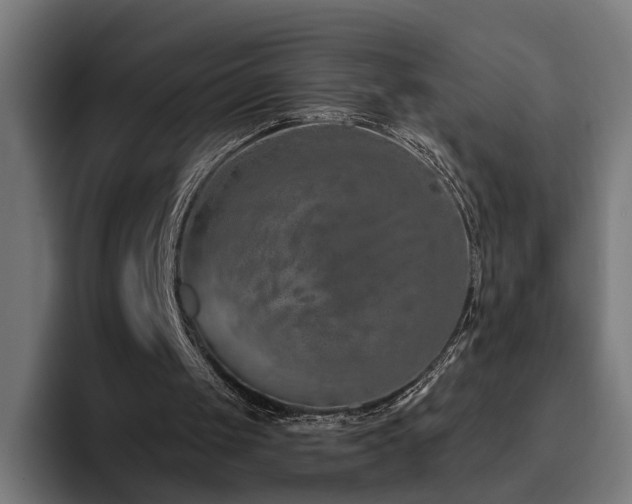 X0000094770049200711161404