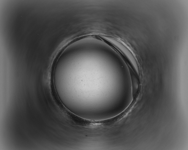 X0000094770055200711161404