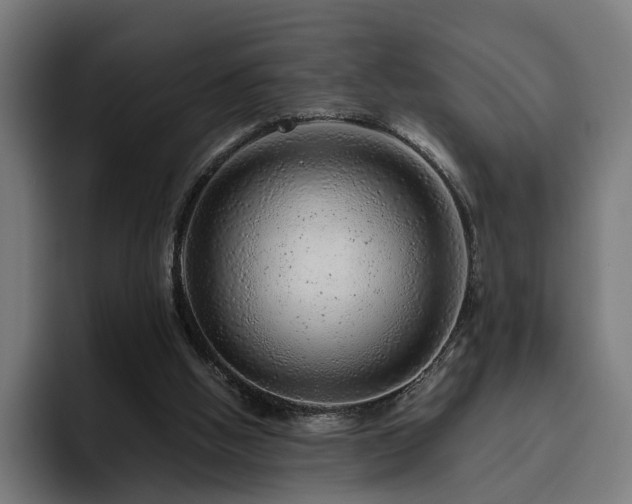 X0000094770058200711161404