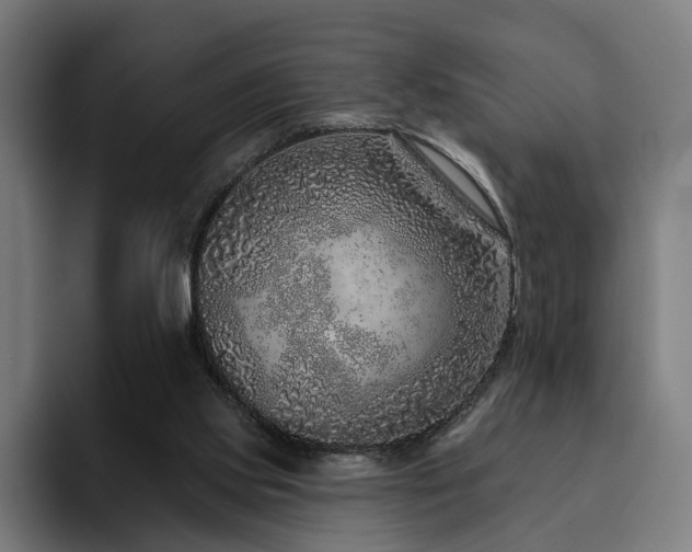 X0000094770061200711161404