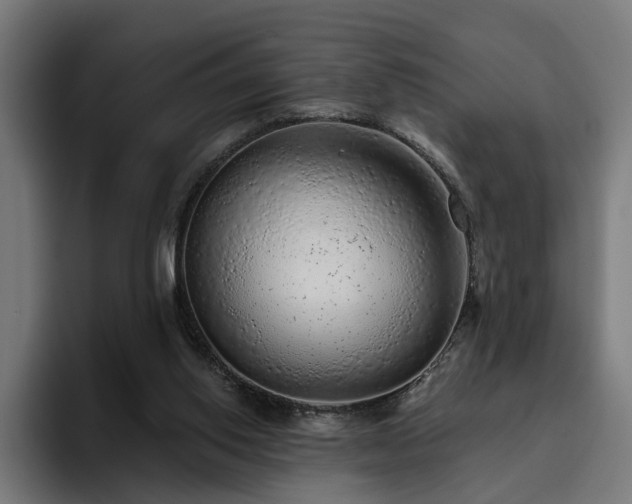 X0000094770062200711161404