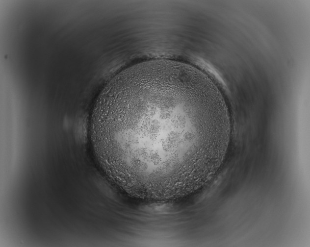 X0000094770065200711161404