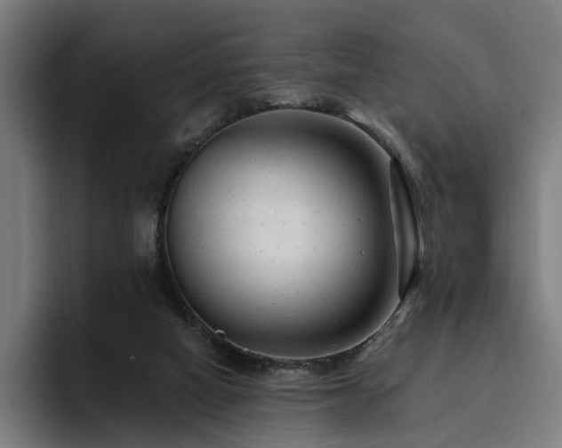 X0000094770066200711161404