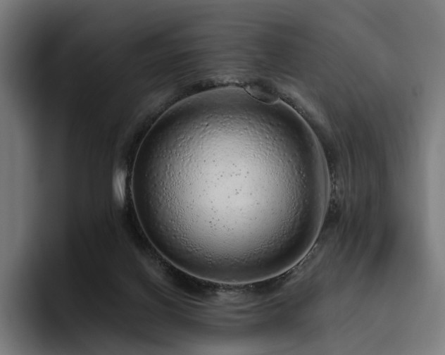 X0000094770070200711161404