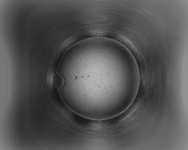 X0000094770071200711161404