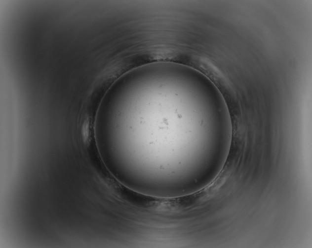 X0000094770074200711161404