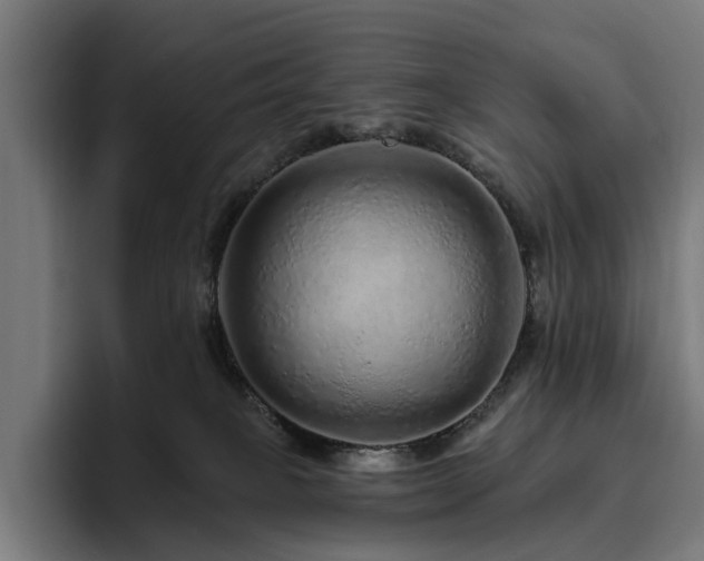 X0000094770085200711161404