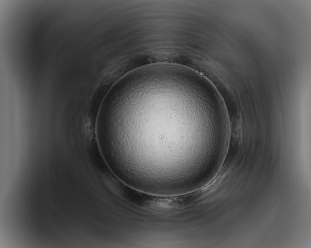 X0000094770086200711161404