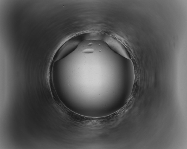 X0000094770100200711161404