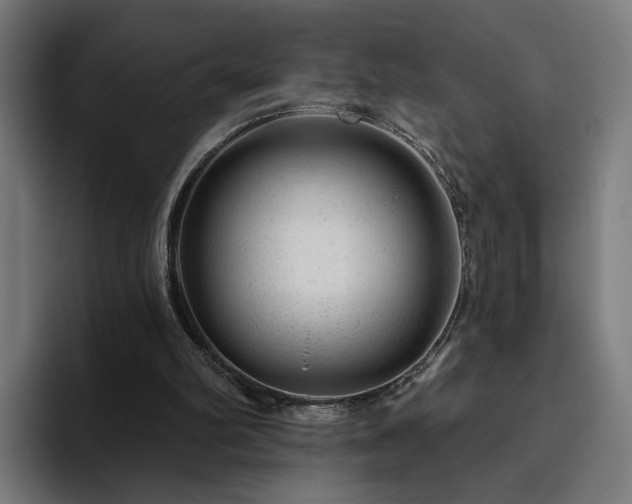 X0000094770102200711161404