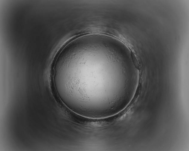 X0000094770103200711161404