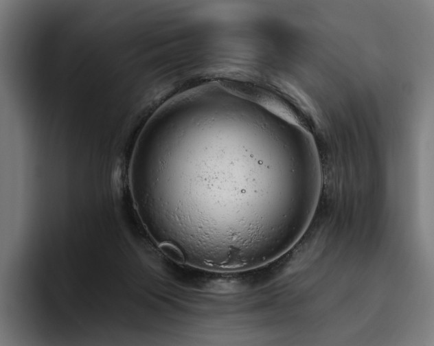 X0000094770119200711161403