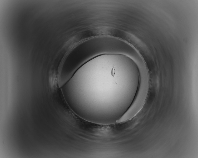 X0000094770124200711161403