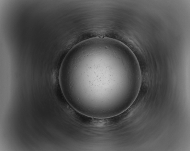 X0000094770131200711161403