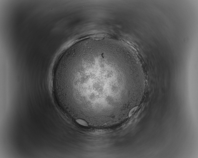 X0000094770149200711161403