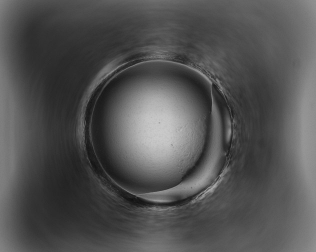 X0000094770150200711161403