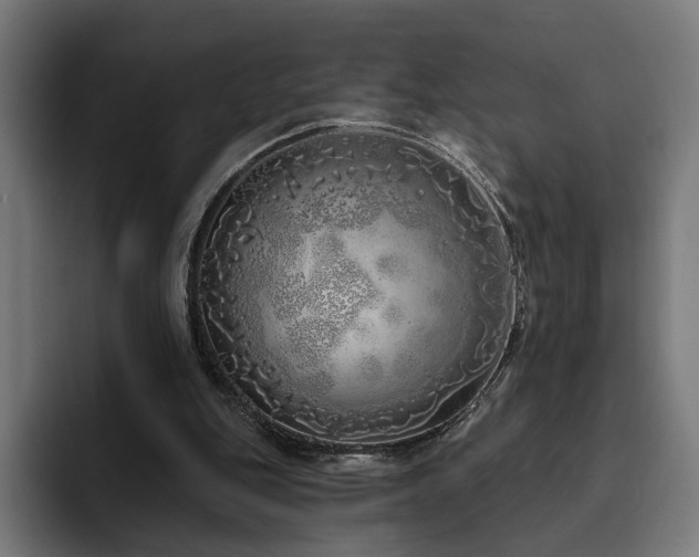 X0000094770151200711161403