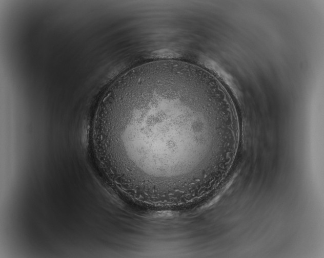 X0000094770153200711161403