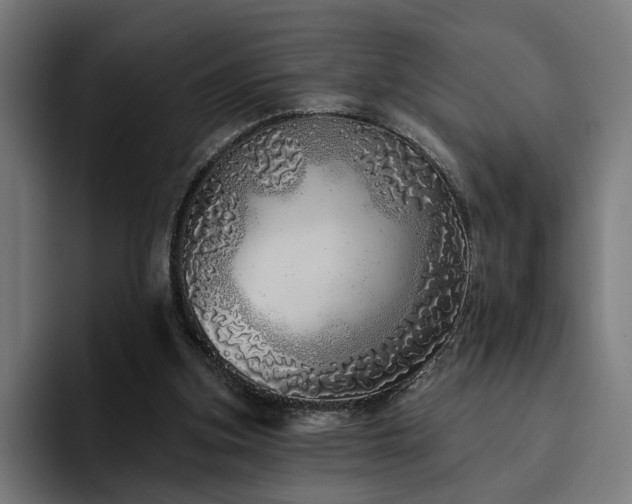 X0000094770155200711161403