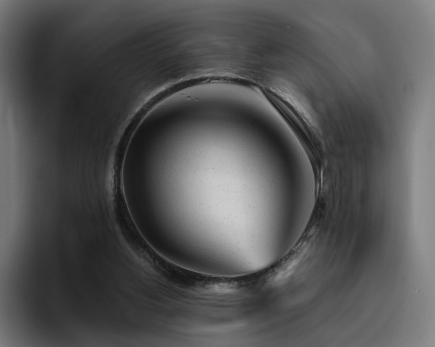 X0000094770156200711161403