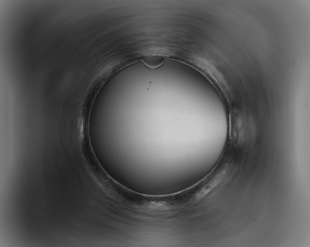 X0000094770157200711161403