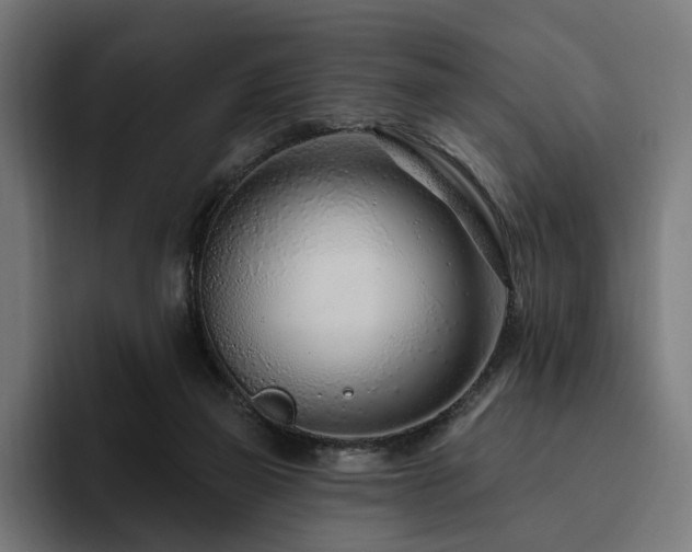 X0000094770165200711161403